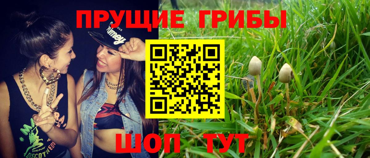 Галлюциногенные грибы мухоморы  Вход с VPN  Жигулёвск 